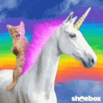 Cat riding a unicorn meme.