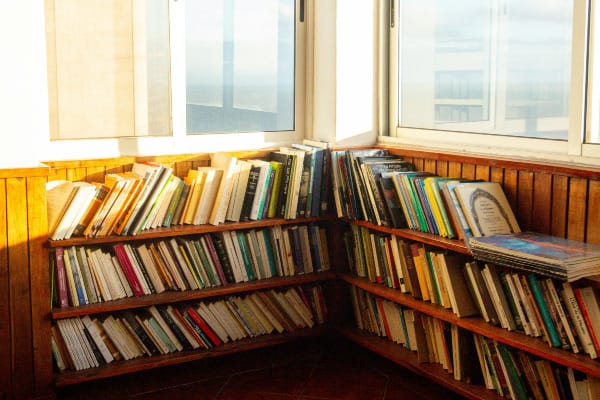 books on brown wooden shelf